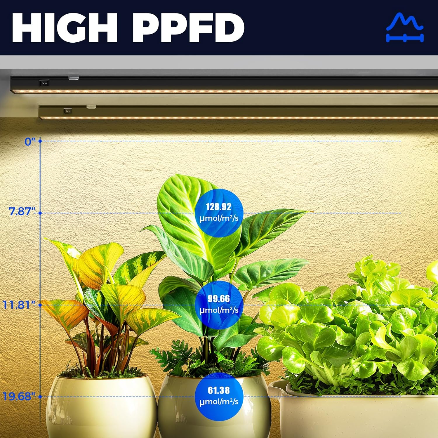 Barrina T5 Grow Light PPFD Measurement