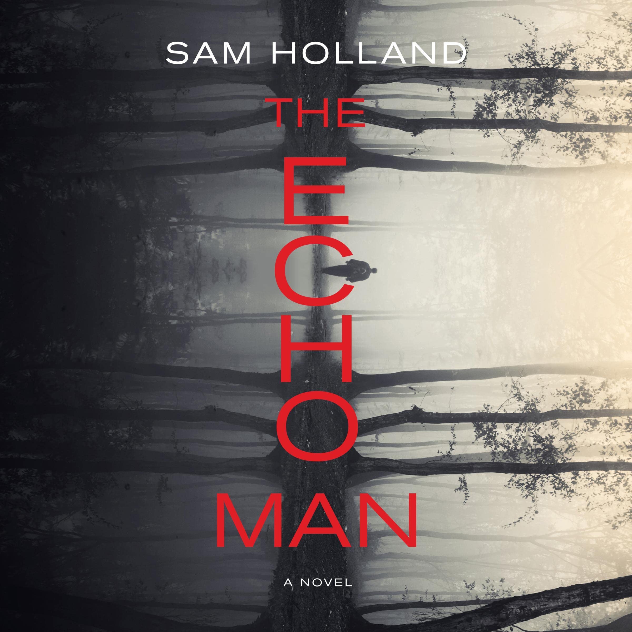 Cover art for The Echo Man