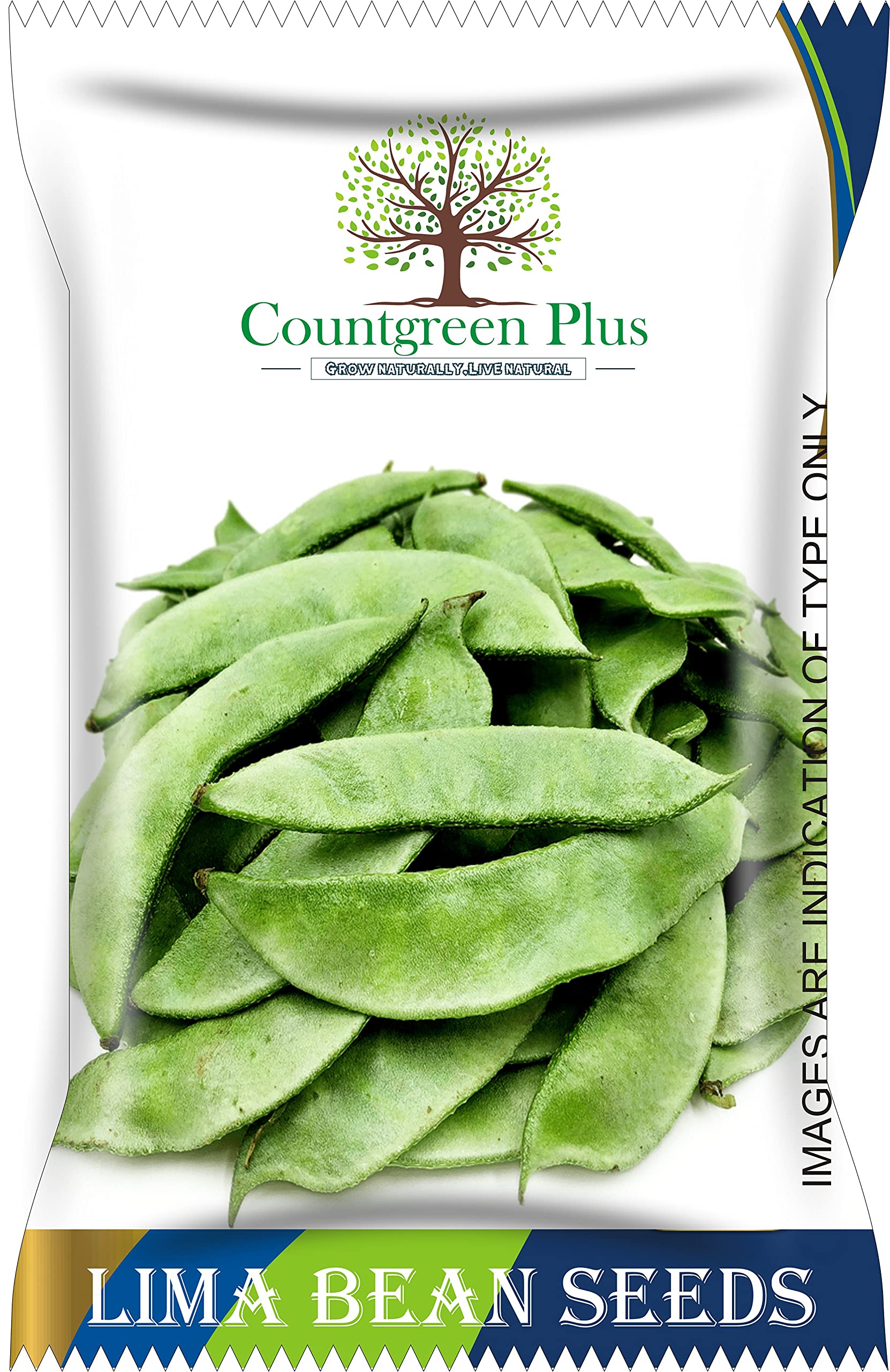 Countgreen Plus Lima Beans (Sem Fali) Seeds – High-Yield, Organic Variety for Fresh, Nutritious Beans; Ideal for Home Gardens and Commercial Cultivation (Pack of 40 Seeds) (B0921YGFT1) Amazon Price History, Amazon Price Tracker