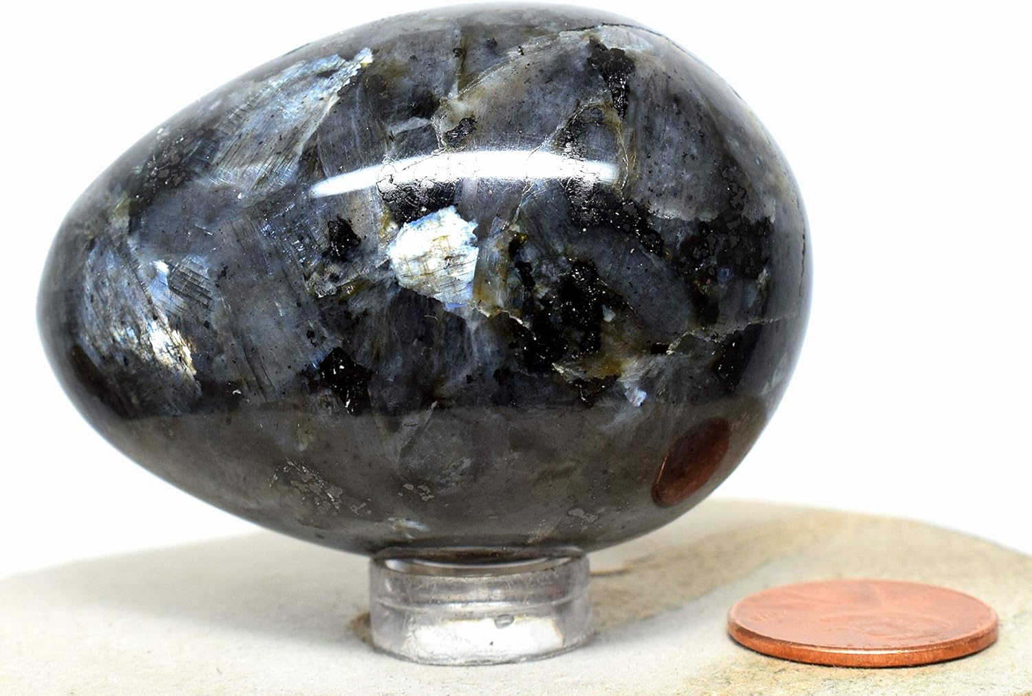 2.2" Larvikite Egg Natural Black Moonstone w/Labradorite Sparkling Crystal Blue Flash Feldspar Mineral Polished Gemstone - India + Stand
