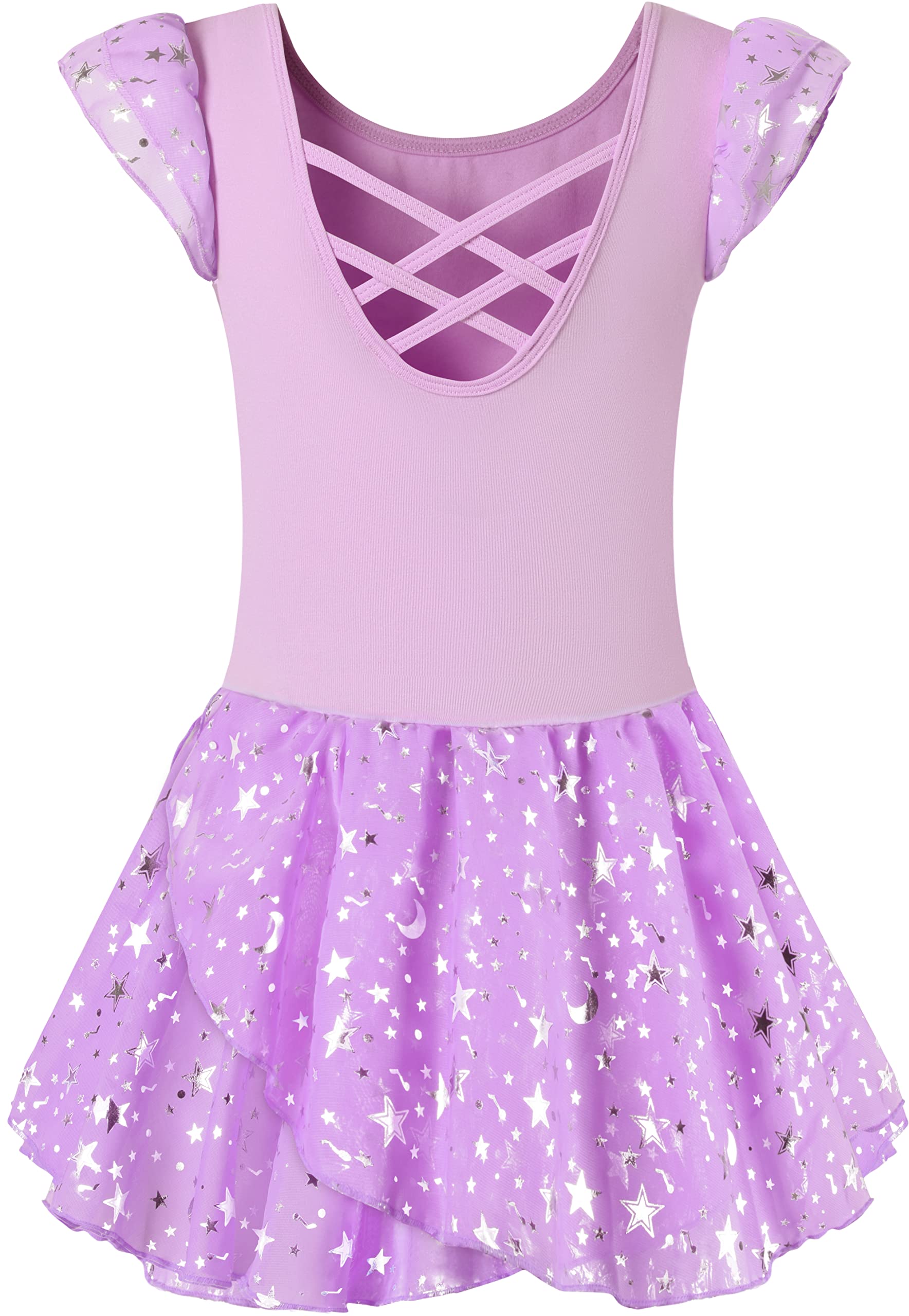 DANSHOW Ballet Leotards for Girls Dance Skirted Leotard Kids Ballet Tutu Dress Toddler Shiny Ruffle Sleeve Dancewear