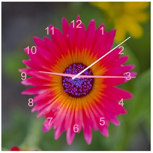 App_Clock_44 - //medicalbooks.filipinodoctors.org