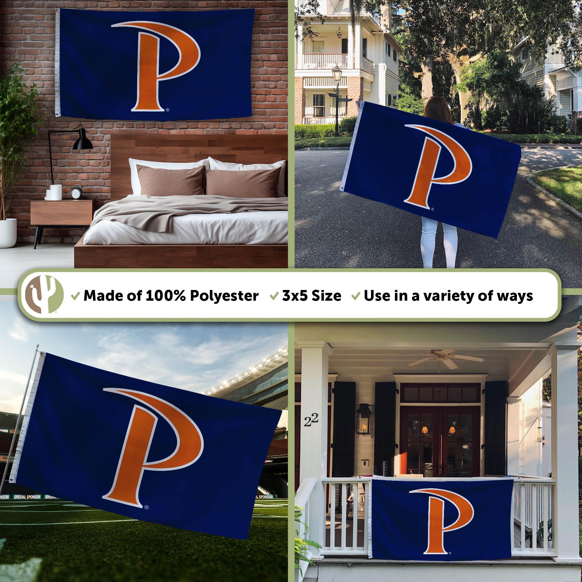 Desert Cactus FAU Flagge – Florida Atlantic University Banner, 3x5 Fuß, 100% Polyester