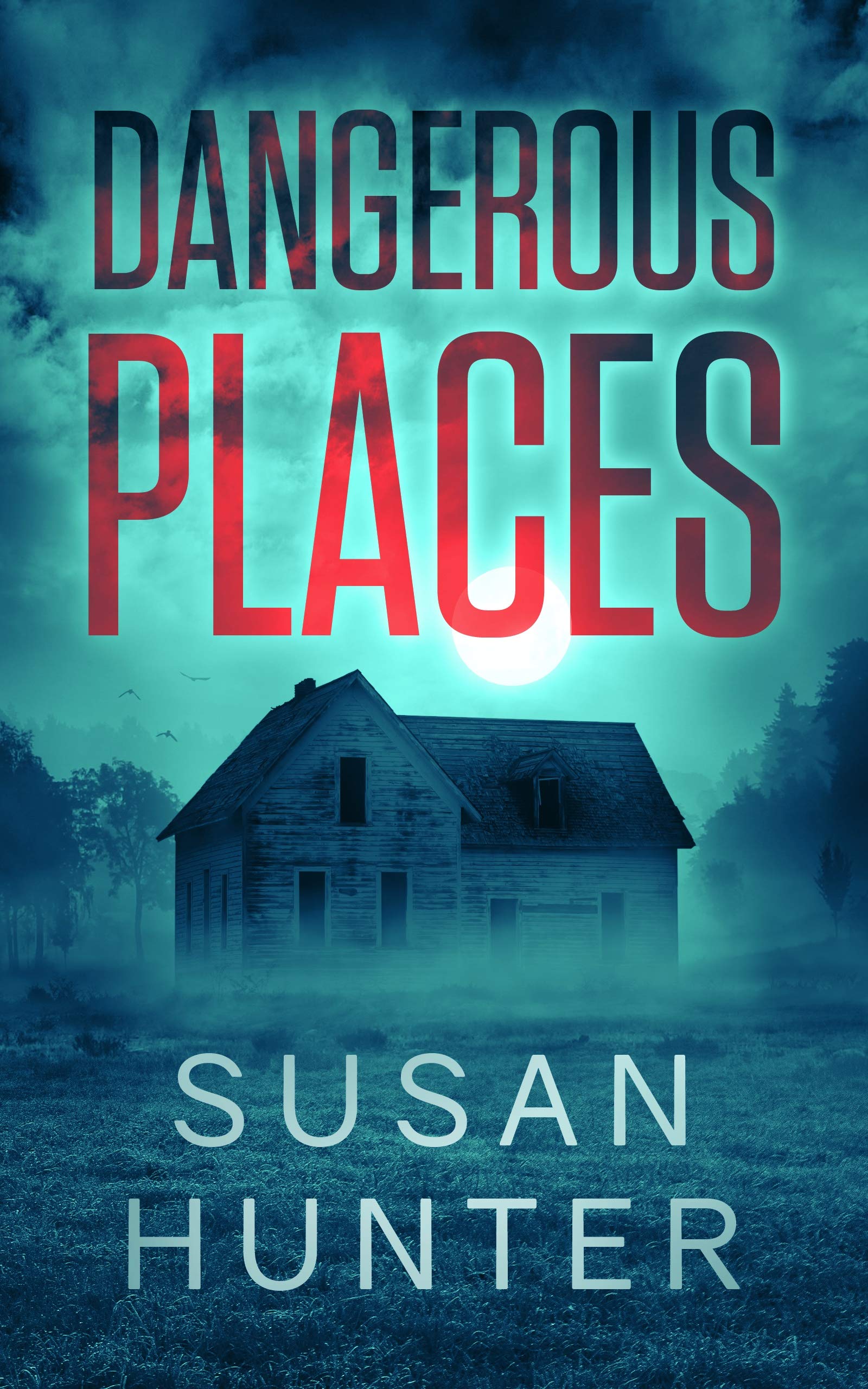 Dangerous Places (Leah Nash Mysteries Book 3)
