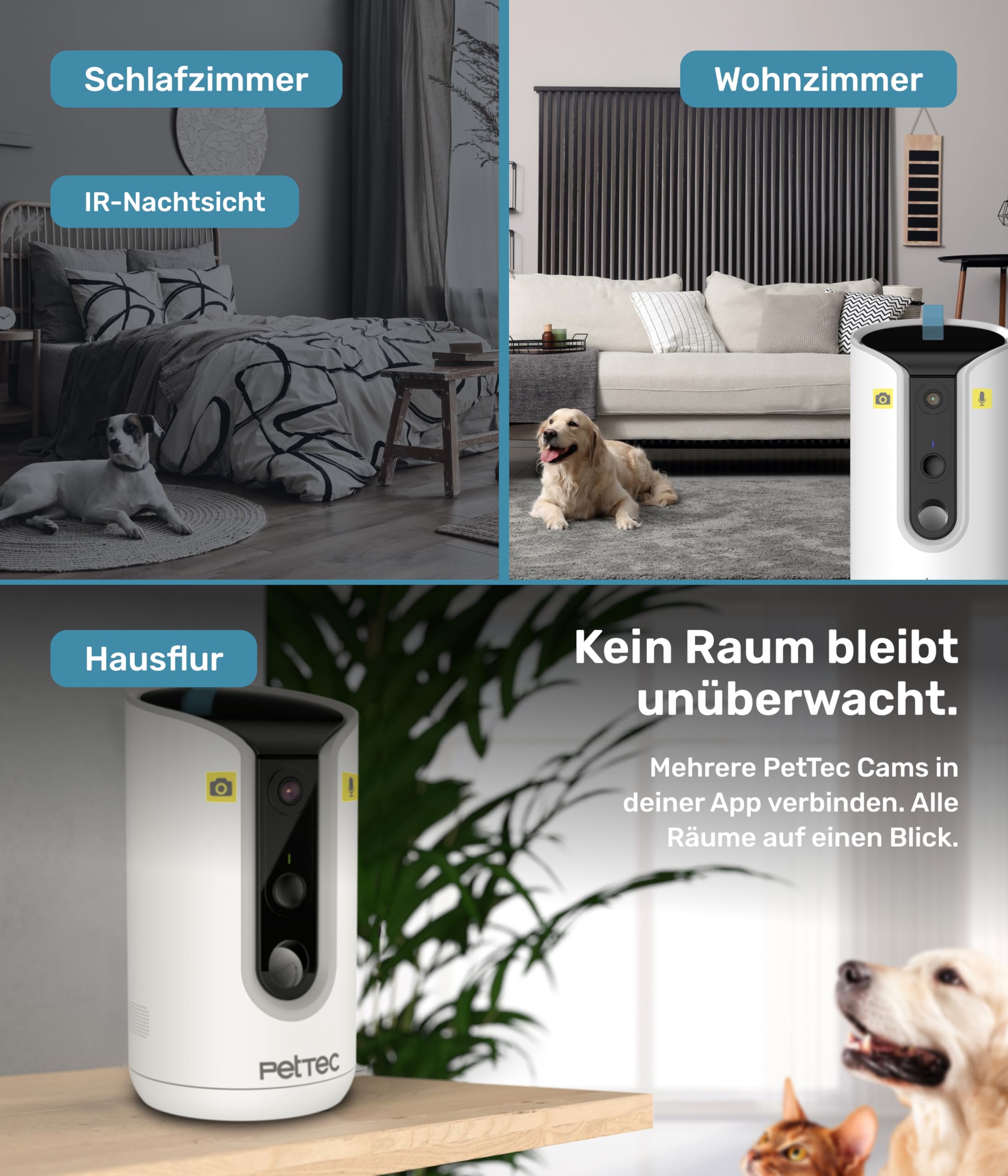 PetTec® Haustierkamera 360° und automatischer Futterspender mit Leckerliauswurf - via App & Multitaste - Bell-Erkennung - 3MP Nachtsichtfunktion - Hundekamera & Katzenkamera