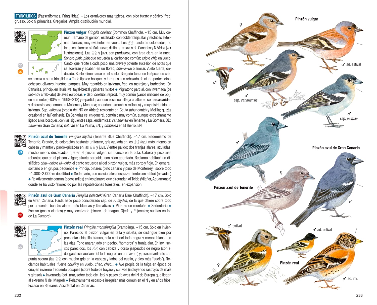 Aves de España - 4ª edición (Guías de campo)