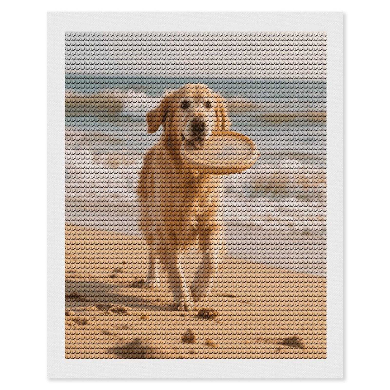 VstaDank Golden Retriever Dog Diamond Painting Kits Exquisite DIY Full Round Drill Diamond Dots Painting for Adults Beginner Diamond Photo Paint with Diamond Picture Art Wall Decor 16"x20"