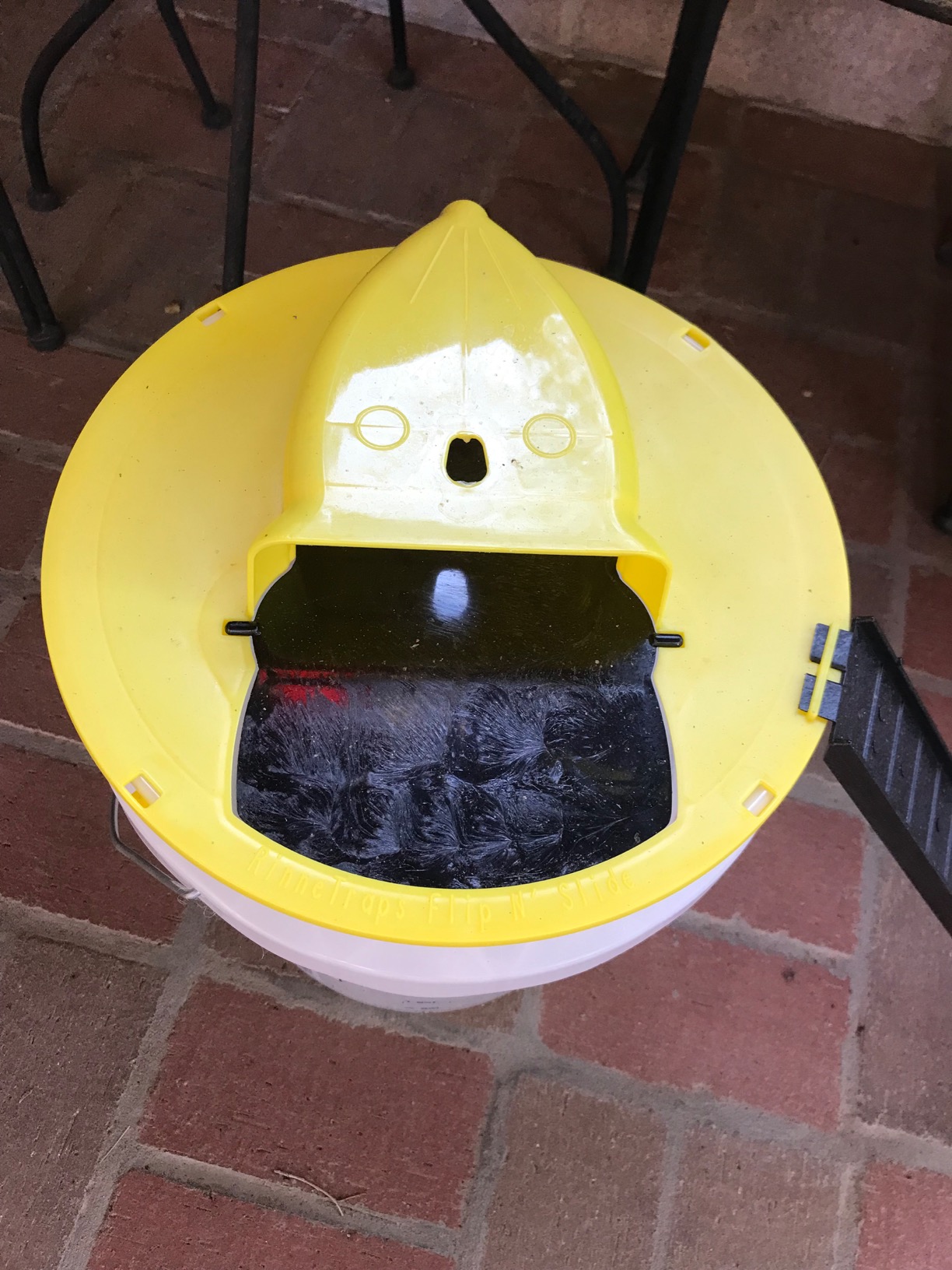 2 Pack Flip N Slide Bucket Lid Mouse/Rat Trap