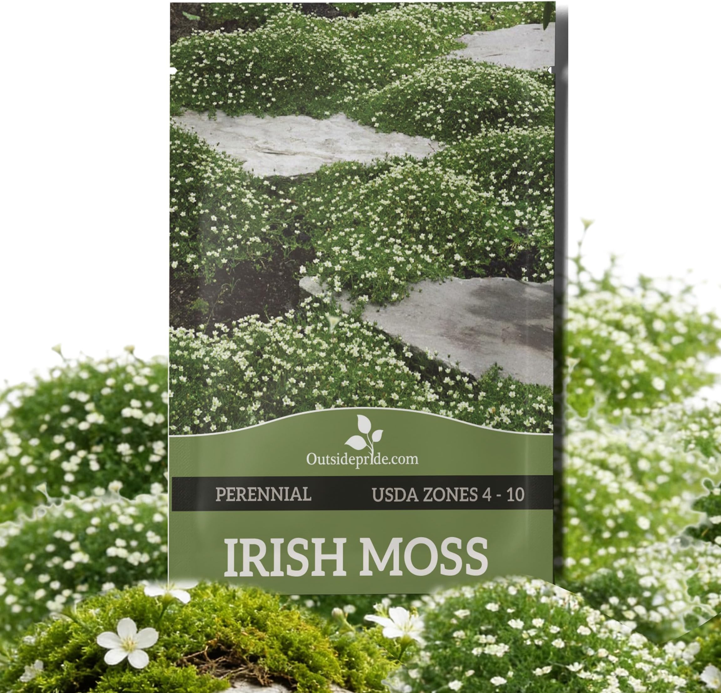 Irish Moss Seeds