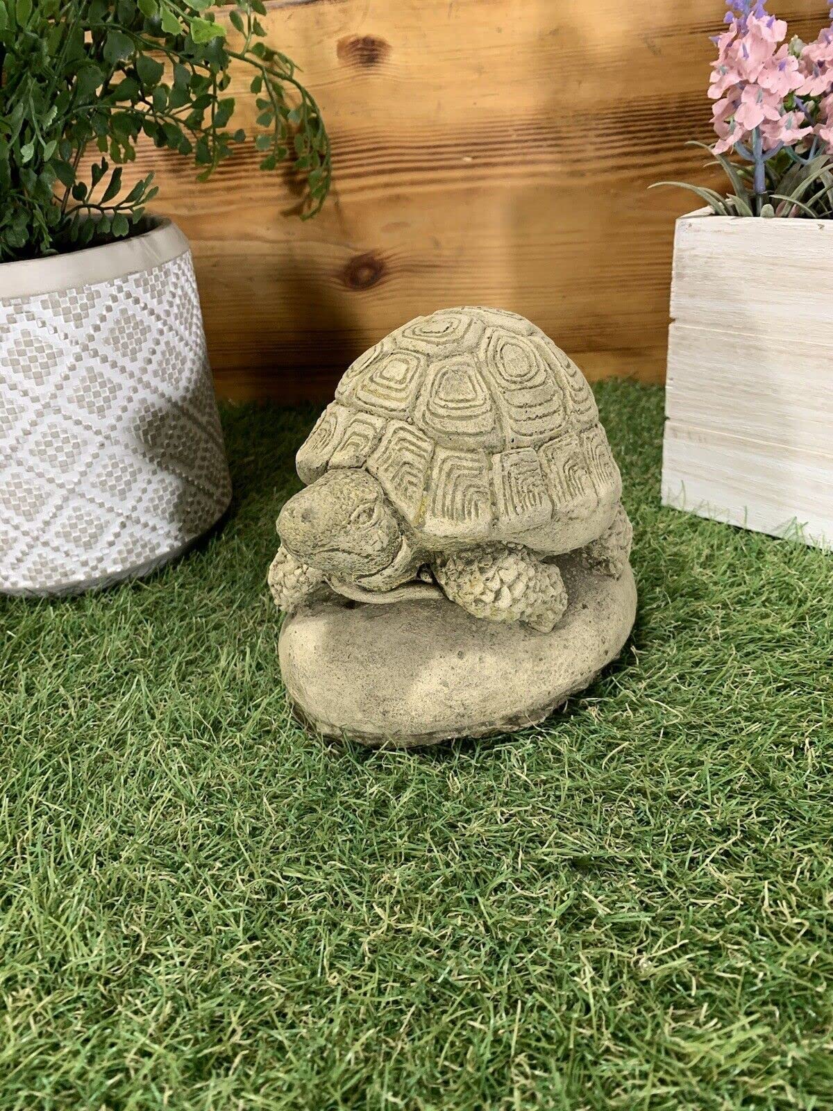 J And L Stone Ornaments Stone Garden Small Tortoise Detailed Concrete Ornament