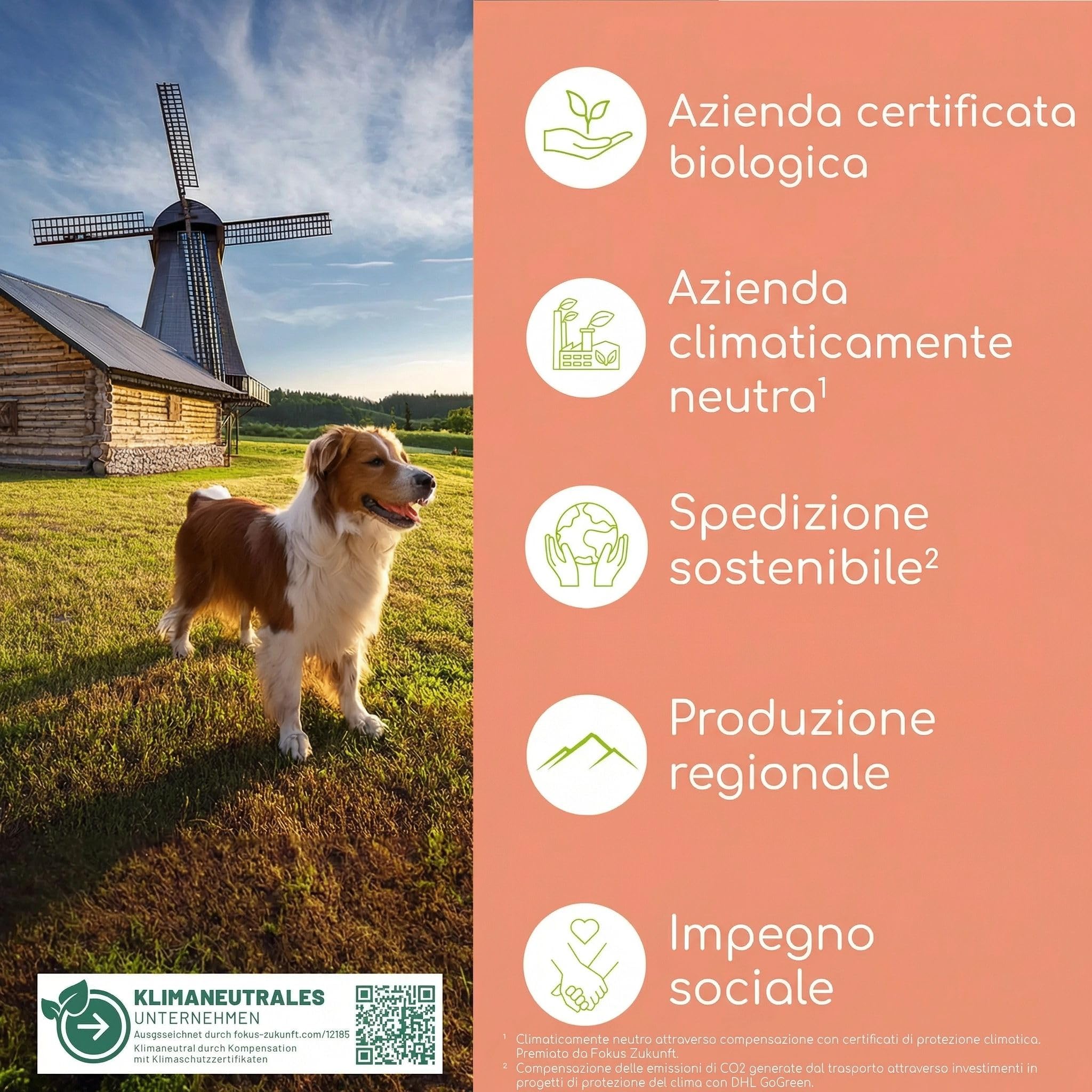 Olio di Salmone per Gatti con Omega 3 & 6 | 100ml Olio di Salmone Norvegese Naturale dall'Atlantico | Integratore Altamente Dosato per Gatti