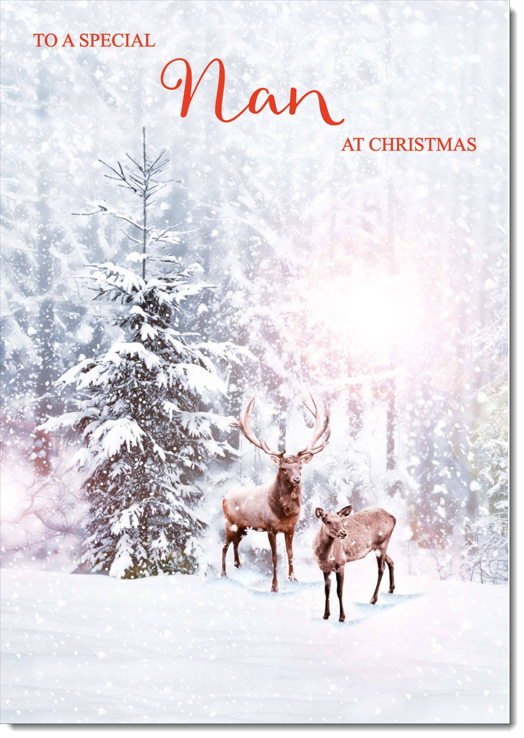 doodlecards Nan Christmas Card Deers in Forest Large A4 Size Christmas Card for Nan with Plain Envelope