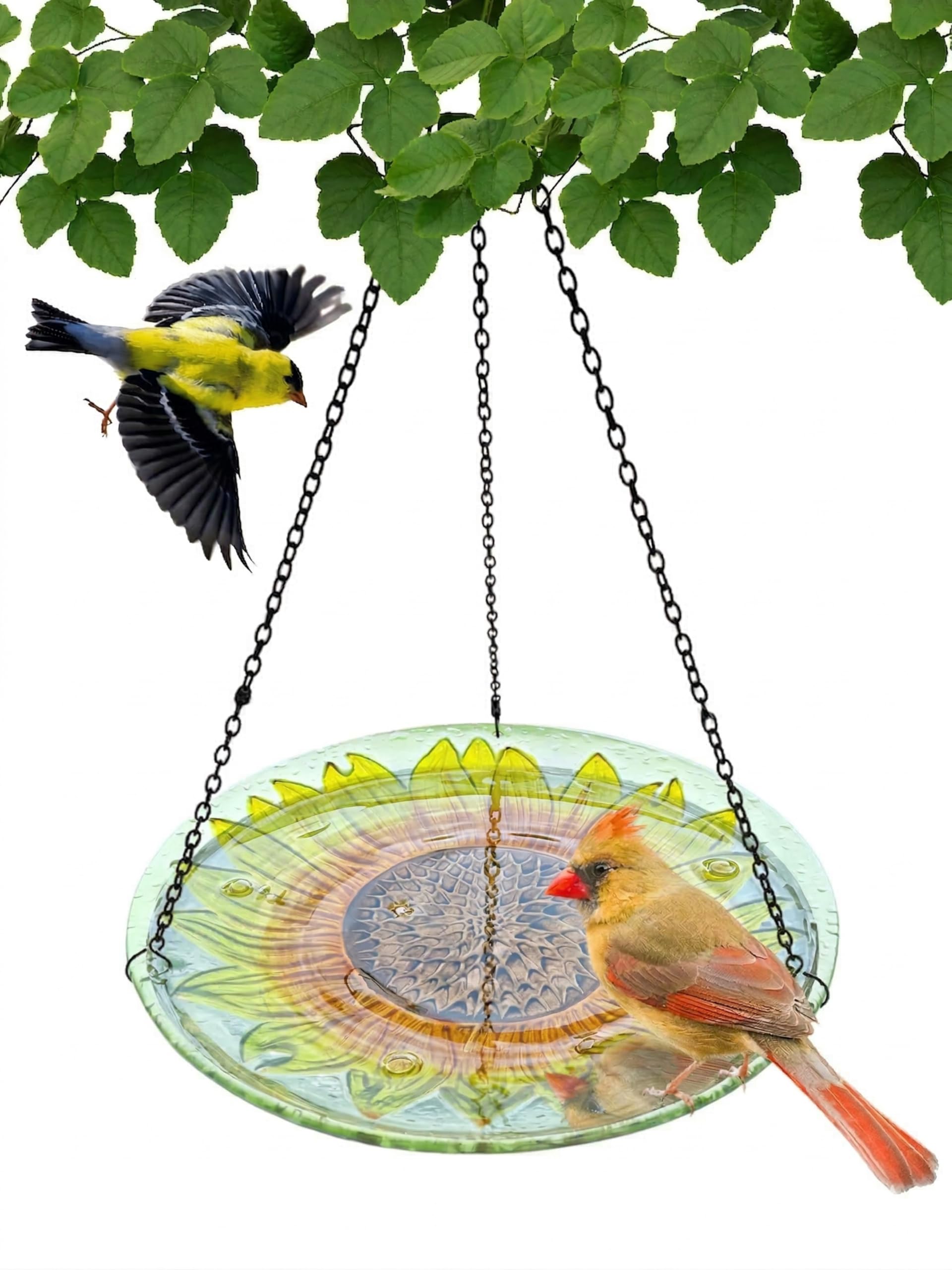 Songbird Essentials 13 Inch Hanging Glass Bird Bath - Sunflower
