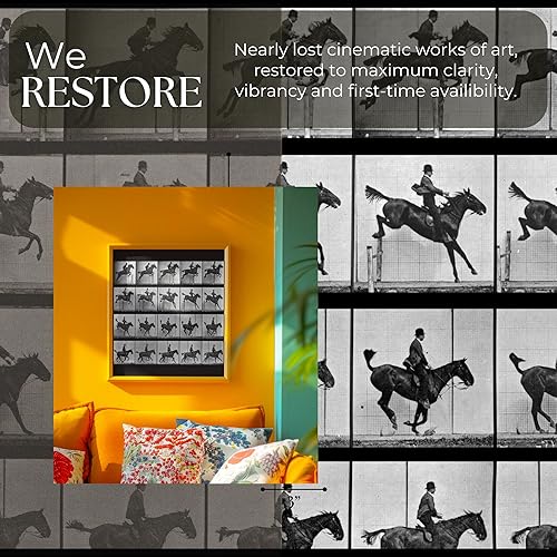 Miniatura 6 de Archive Cinema 'Folsom State Prison' Cartel de concierto retro, 11" x 17", 1968, Prisión Estatal de Folsom, música country, hecho en Estados Unidos