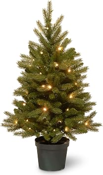 National Tree Company Feel Real Pre-lit Artificial Christmas Tree For Entrances | Includes Pre-strung White LED Lights and Pot Base | Jersey Frasier Fir - 3 ft