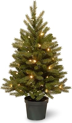 Amazon Com National Tree Company Feel Real Artificial Christmas Tree For Entrances Includes White Lights And Stand Hampton Spruce 3 Ft Home Kitchen