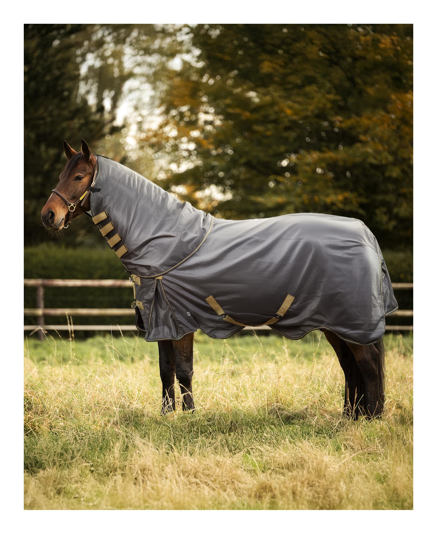 4Horses Fliegendecke Sorrent, für Pferde mit UV-Schutz 60+, atmungsaktives Mesh, abnehmbares Halsteil, Kreuzgurte, 0 g Sommerdecke