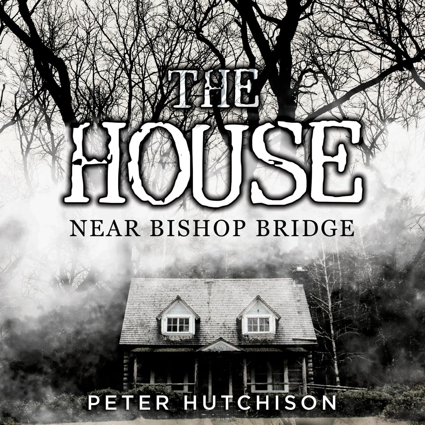 The House Near Bishop Bridge