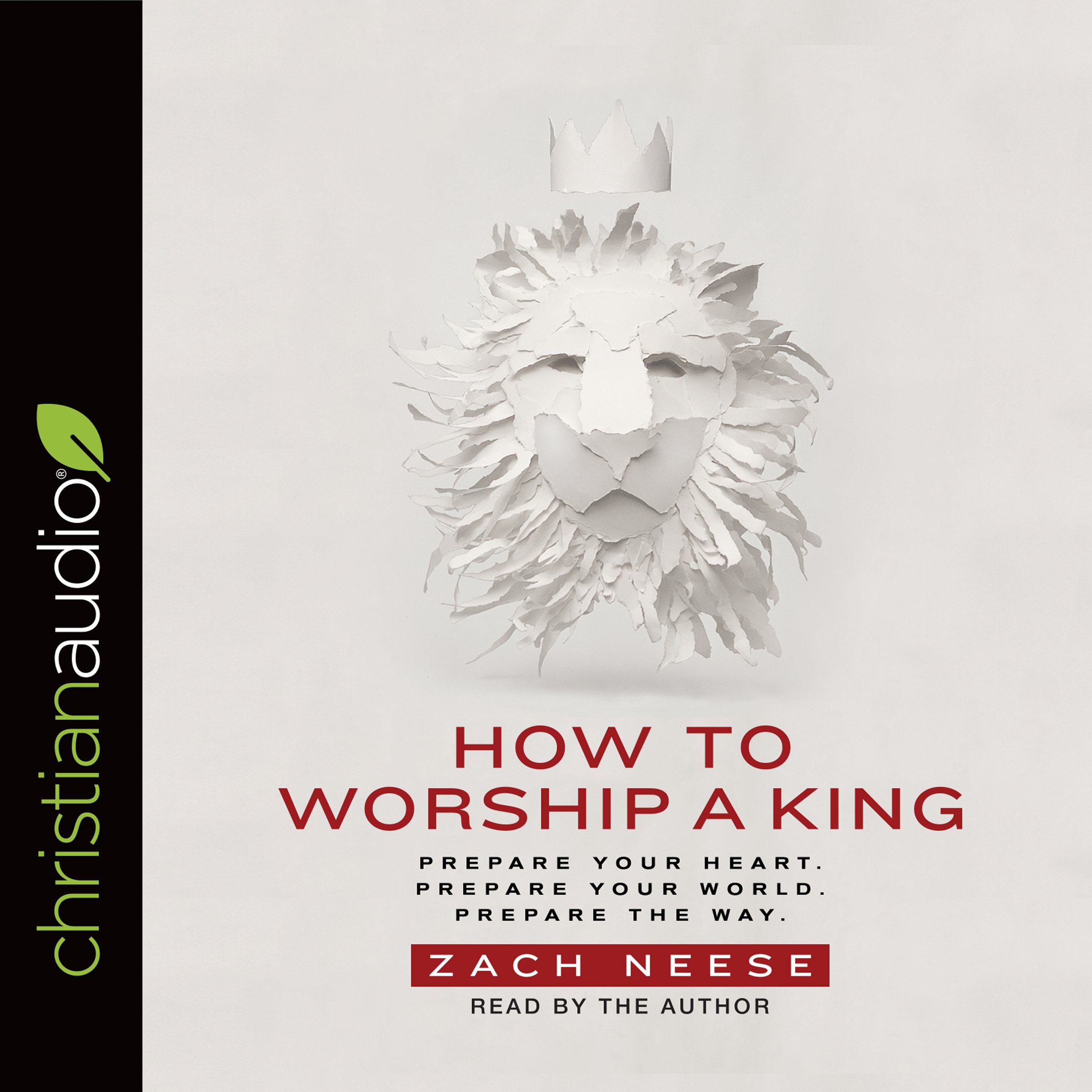 Cover art for How to Worship a King