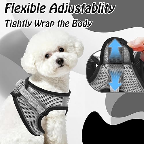 Miniatura 131 de AIITLE Arnés Escalonado para Perro y Juego de Correa - Chaleco Arnés a Prueba de Escape Sin Tirones con Malla Suave y Bandas Reflectantes, Arneses