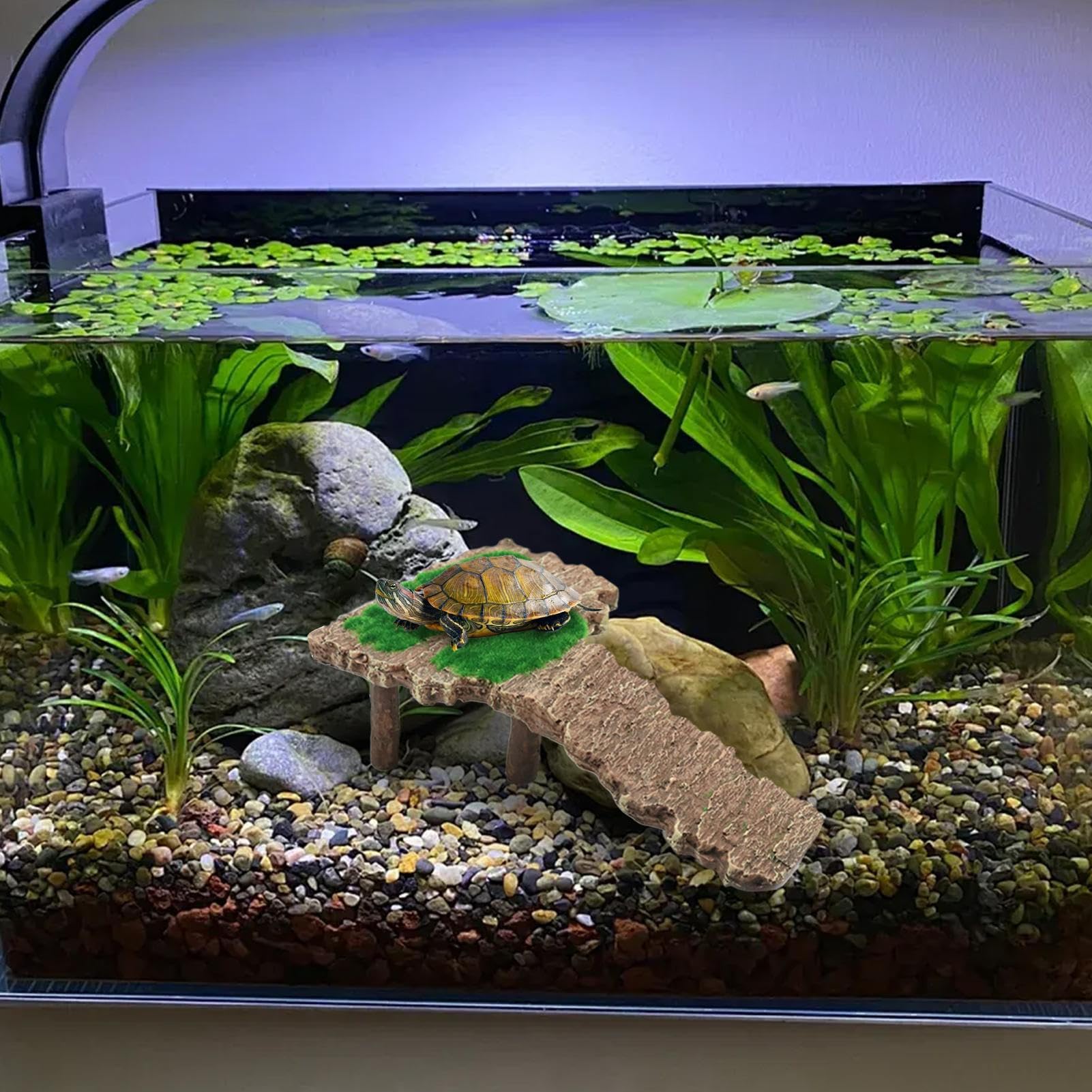 Piattaforma Galleggiante Per Tartarughe QWORK® - 40,5x28 Cm, Con Ventosa, Per Acquari E Terrari - Foto 11