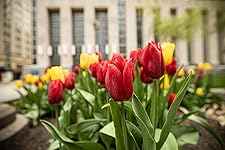 Review Image by Marq Marq