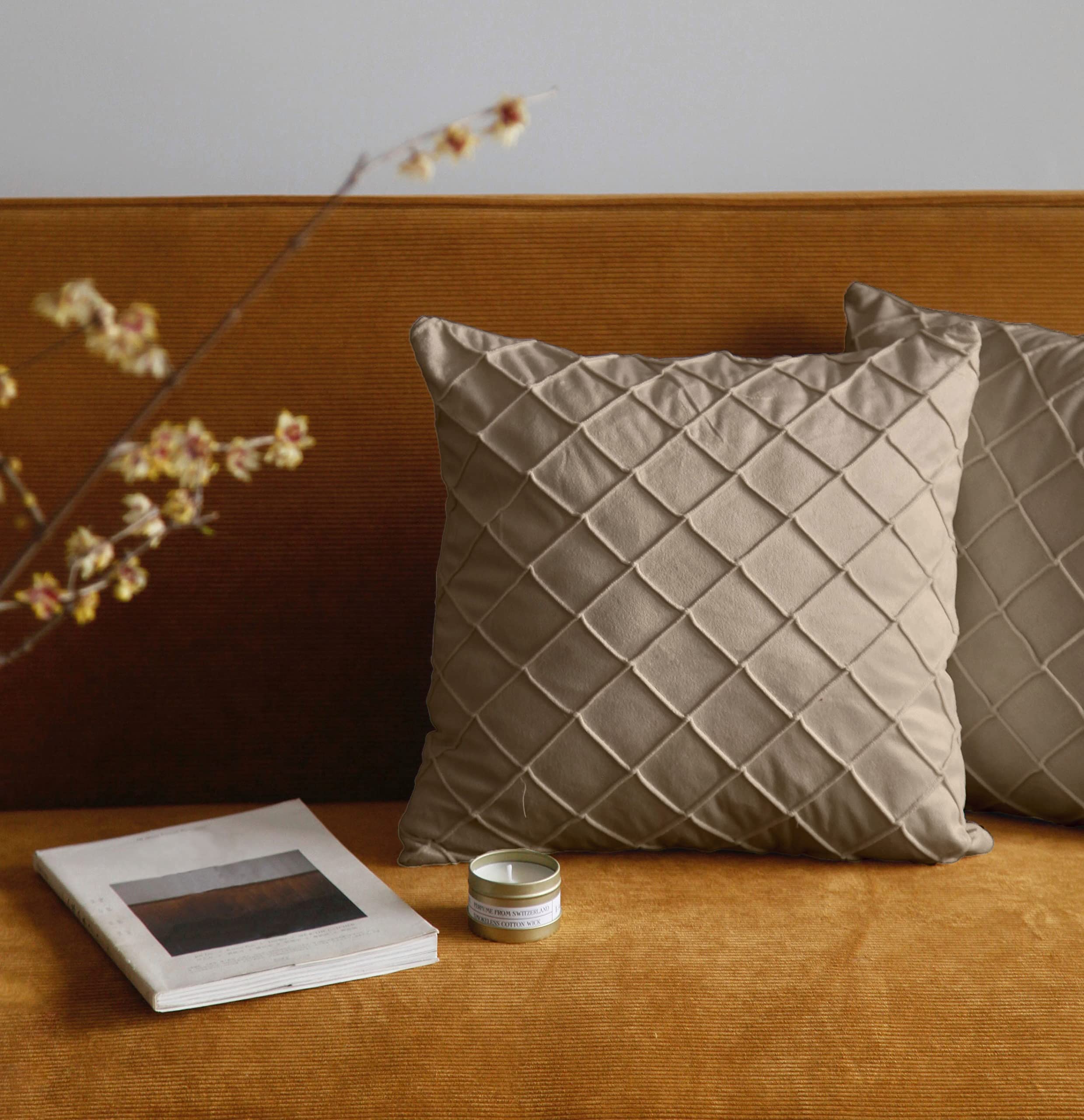 Pagnanno. Taupe Set Of 2 Soft Velvet Cushion Covers 45X45cm(18X18 Inches) Squares Throw Pillowcases Cushion Covers For Chairs,Living Room,Bedroom With Invisible Zipper (18"X18" (Pack Of 2), )