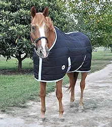 Jeffers Cobertor estável para cavalos com frente fechada para equinos, 153 cm – Camada de barraca e celeiro com isolamento quente, cobertor de inverno leve de poliéster para cavalos, uso interno