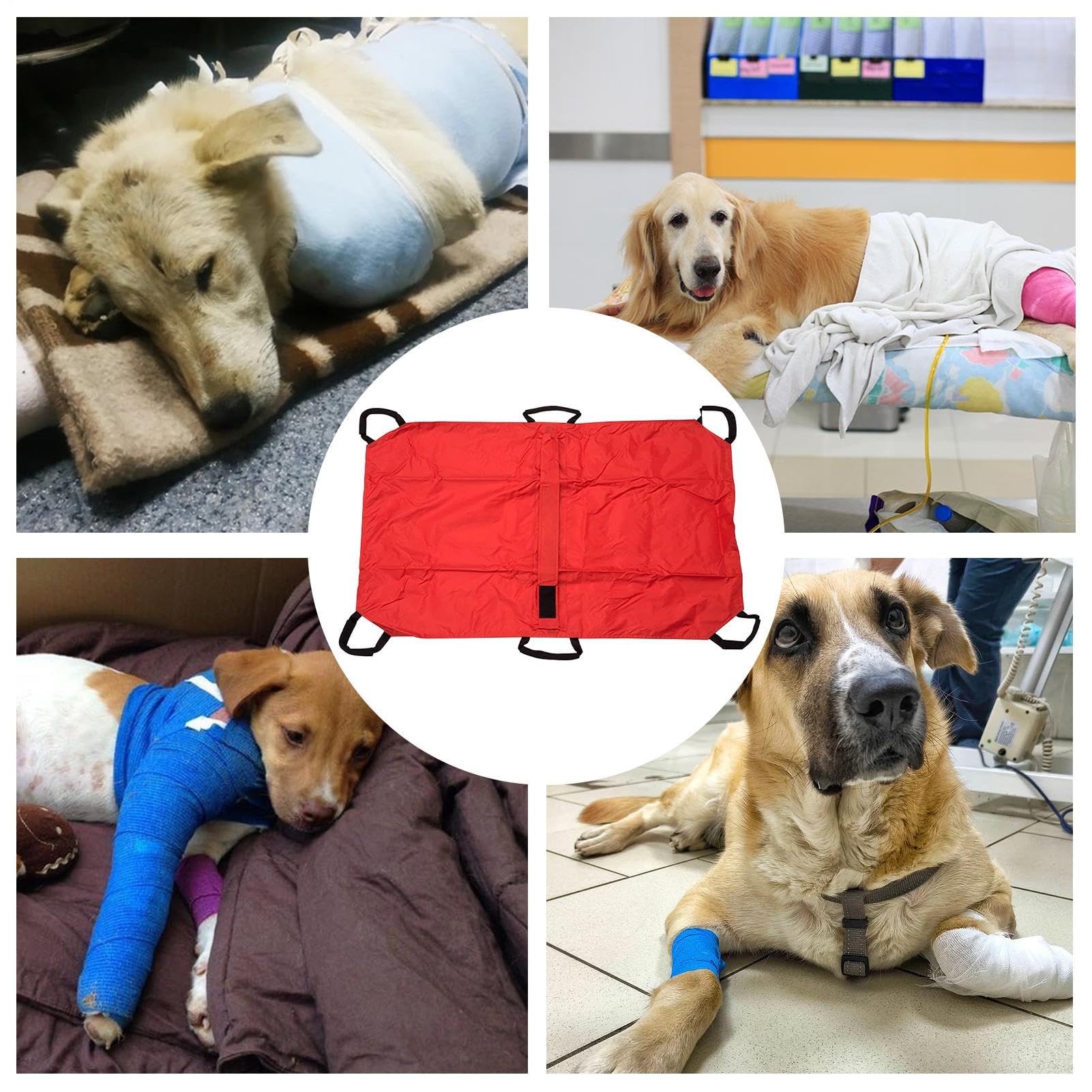 Civière pour Animaux | Brancard Porte-Animaux | Léger pour Secours Et Levage De Patients Animaux Chiots Chats Lapins
