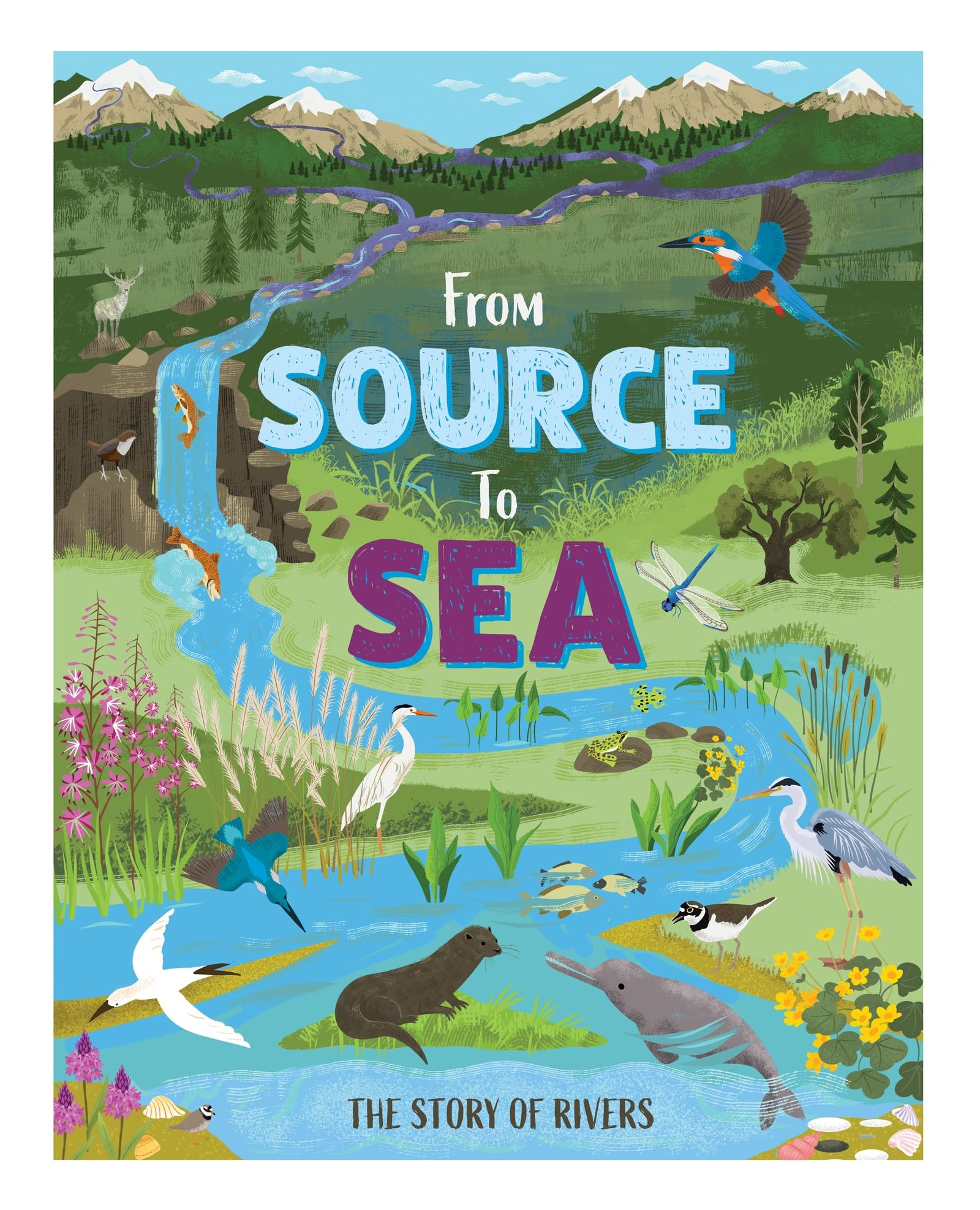 From Source to Sea: The Story of Rivers (Nature's Journeys)