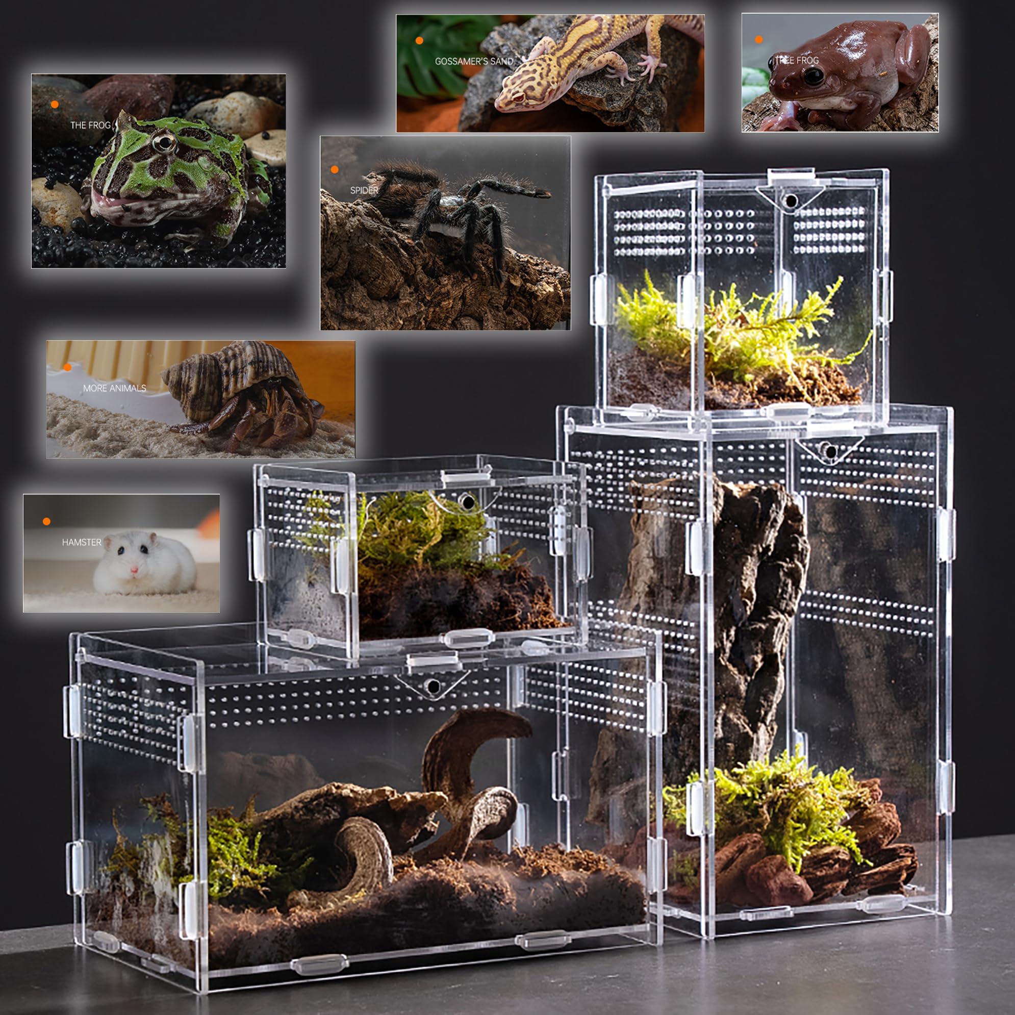 Amazon | アクリル 飼育ケース YANGMUM 透明 クリア 通気