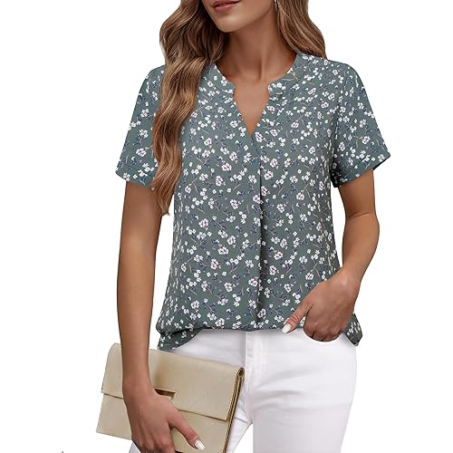 Timeson Women's V Neck Short Sleeve Curved Hem Sheer Chiffon Blouse Shirts Tops