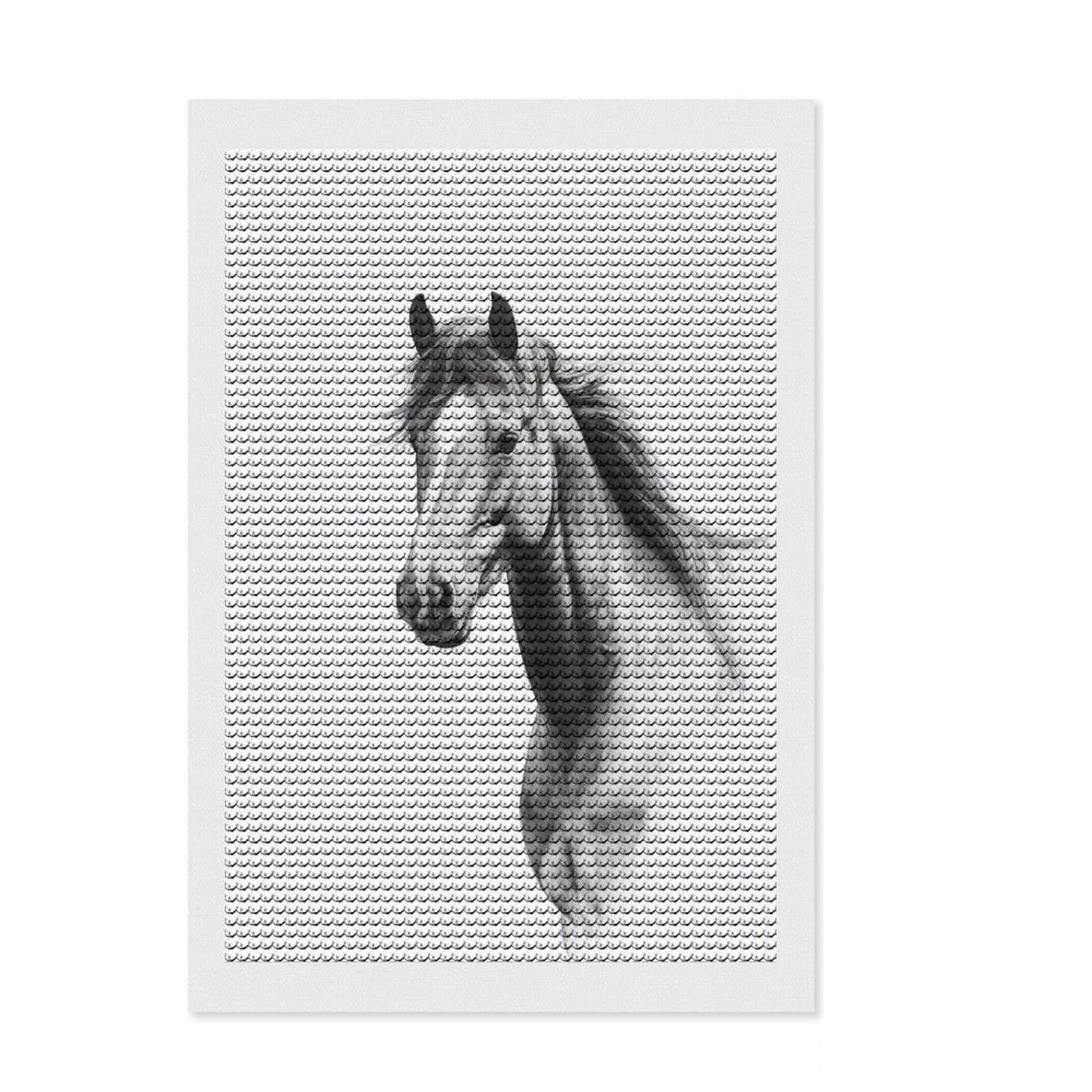 Junmoney Horse Artwork Round Drill Diamond Painting 8"x12", Printed Canvas, Finish and Display, Modern Decor, Christmas Gift