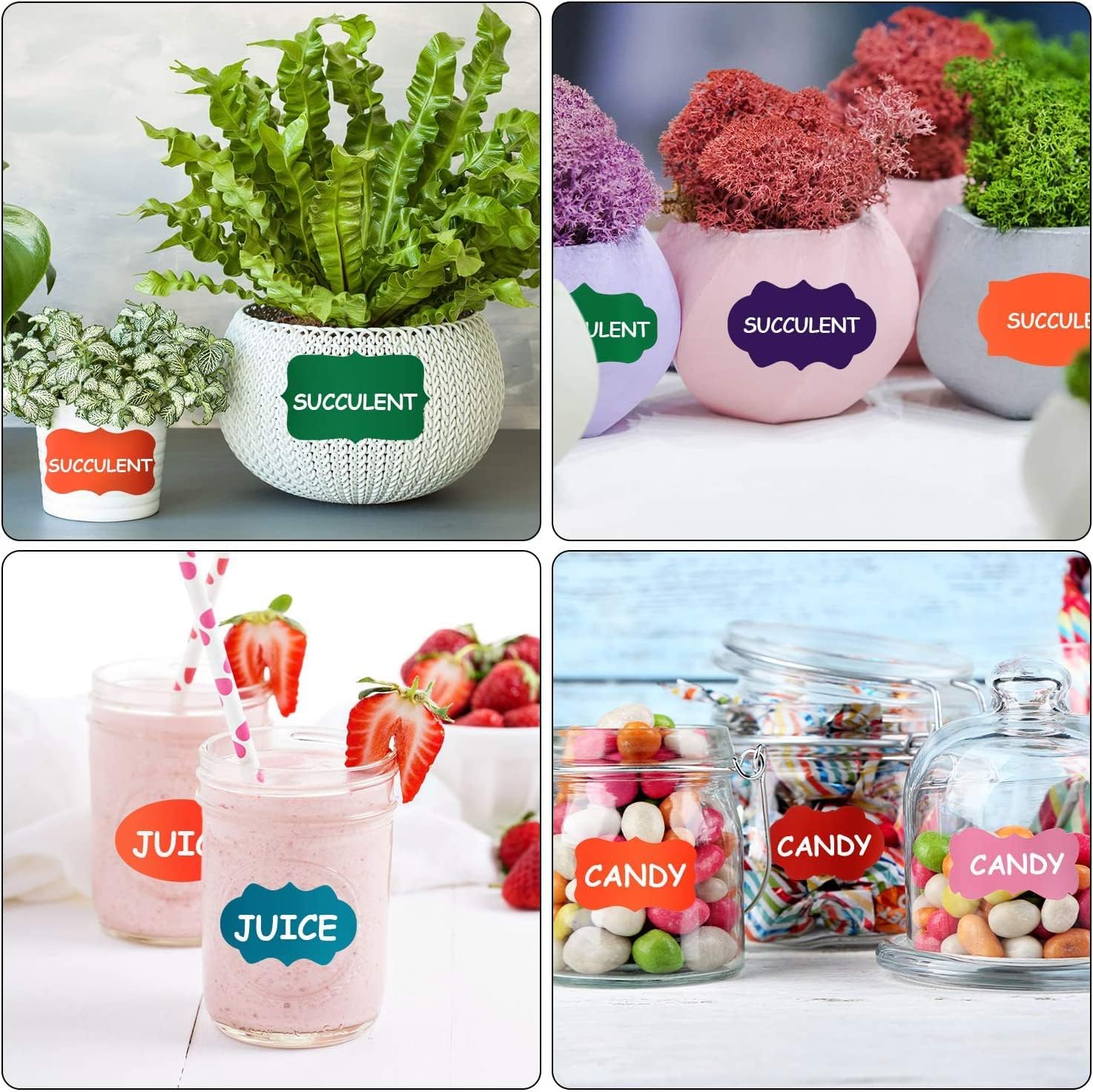 12 Color Chalkboard Labels Stickers Waterproof Removable Reusable