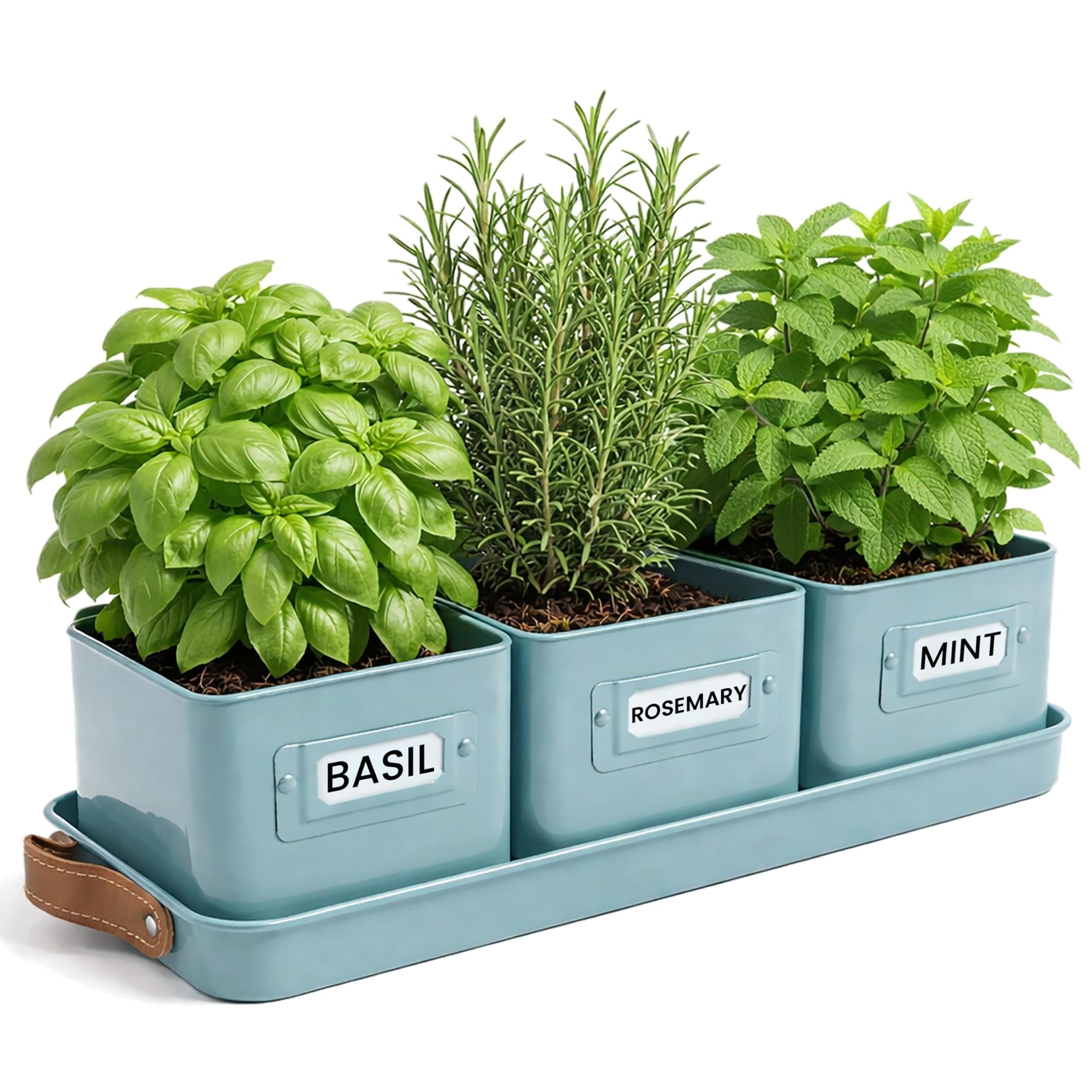 volila 3-Pot Teal Blue Herb Planter Set