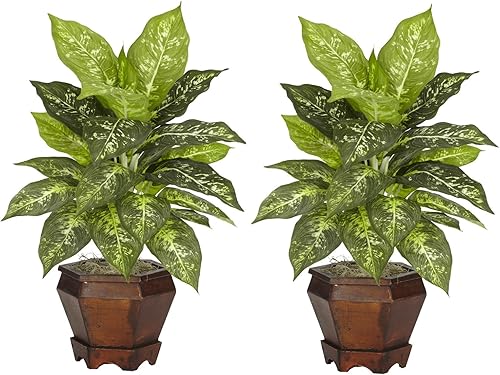 Nearly Natural 6712-VR-S2 Dieffenbachia con jarrón de madera decorativa de seda, 2 unidades