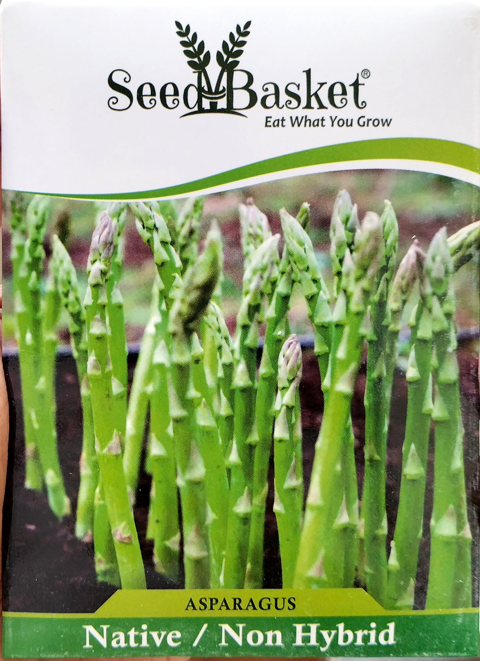 ASPARAGUS Seeds for Home Kitchen and Vegetable Gardening | 50 Seeds | Best in Germination | Free Growing Instruction Manual