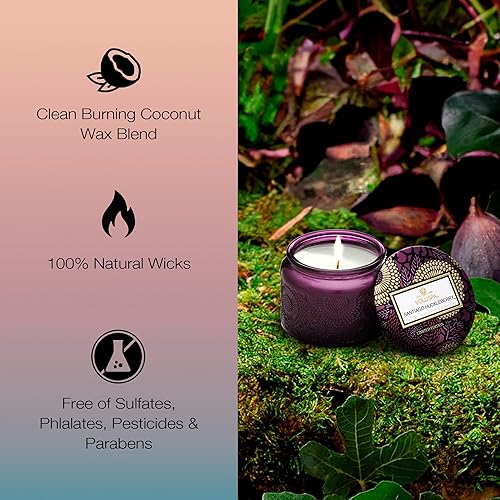 Miniatura 10 de Voluspa Vela de ámbar báltico tarro de vidrio en relieve pequeño 32 onzas 25 horas de tiempo de combustión vegano cera de coco y mechas naturales