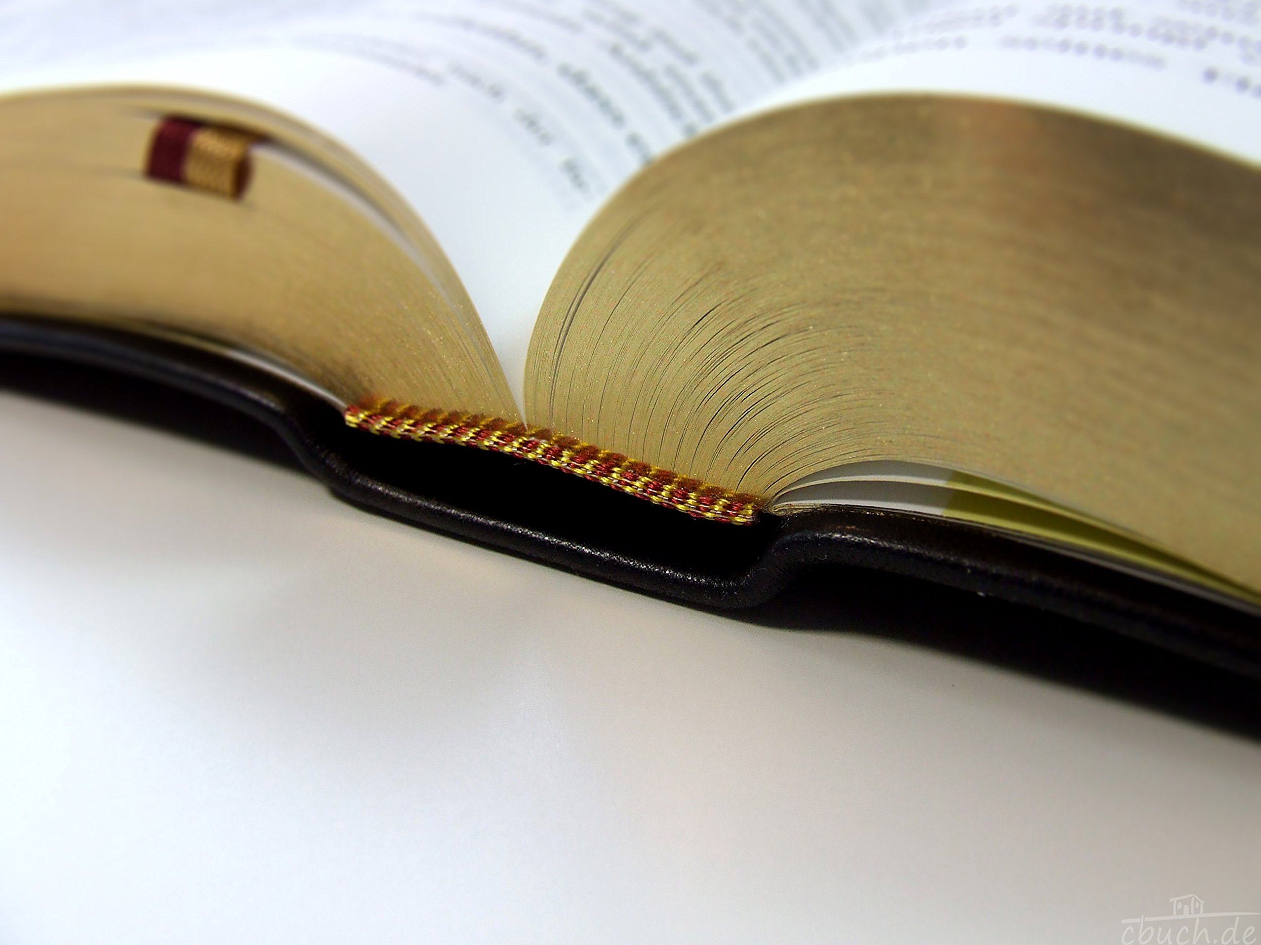 Schlachter 2000 Bibel - Großdruckausgabe (Softcover, schwarz, Goldschnitt): Großdruckausgabe, Rindleder-Einband (flexibel), Goldschnitt, Fadenheftung / ohne Parallelstellen