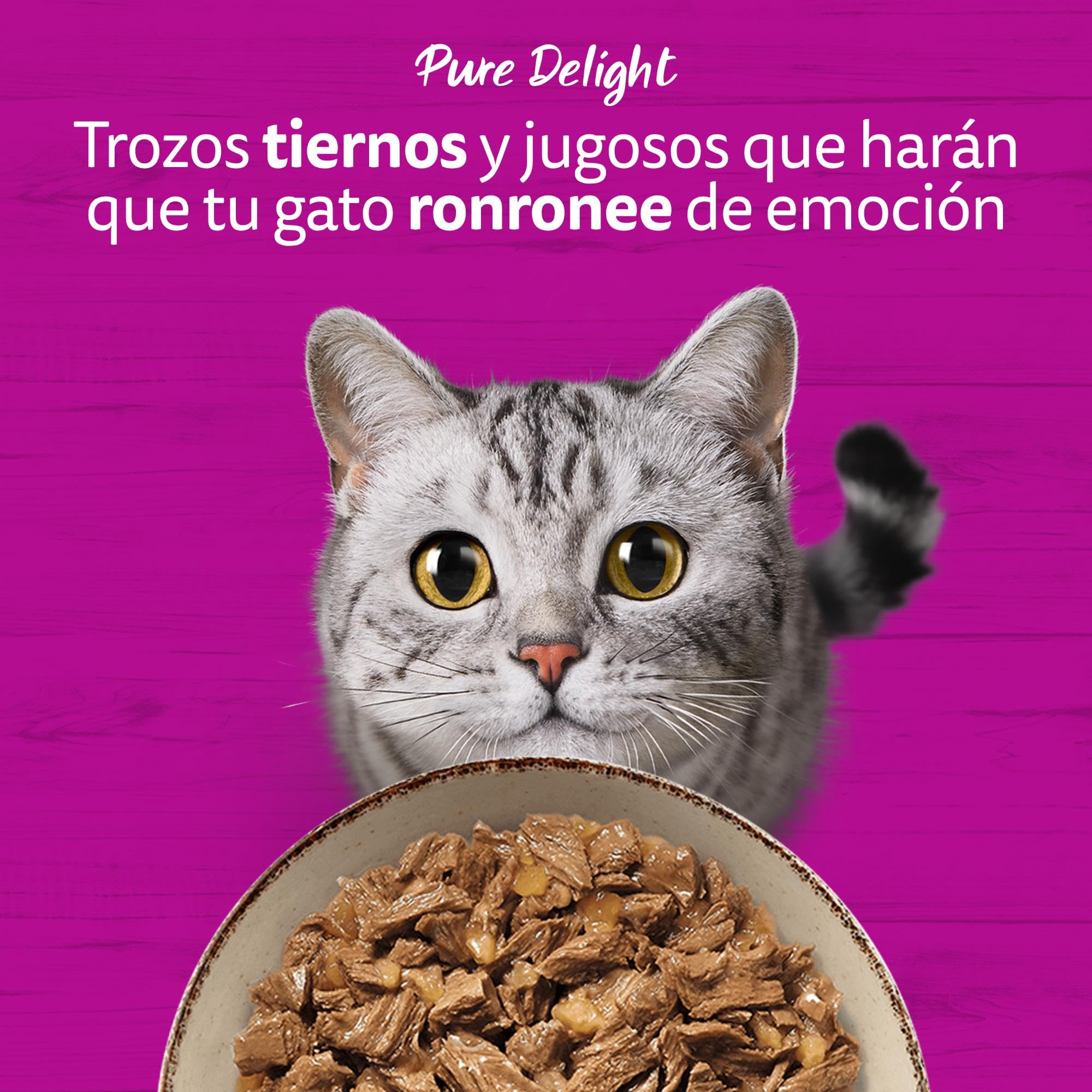 WHISKAS Comida húmeda en gelatina Gatos Adultos Tiernos bocados Ave - 13 x 4 bolsitas x 85g