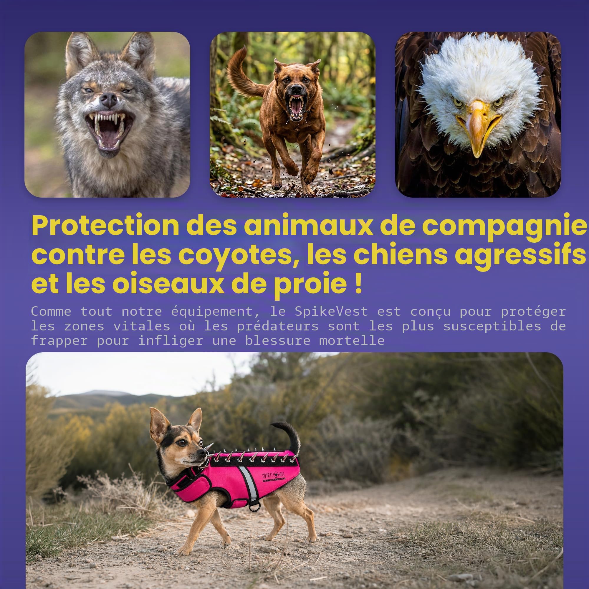 CoyoteVest SpikeVest Harnais pour chien fabriqué aux États-Unis, orange