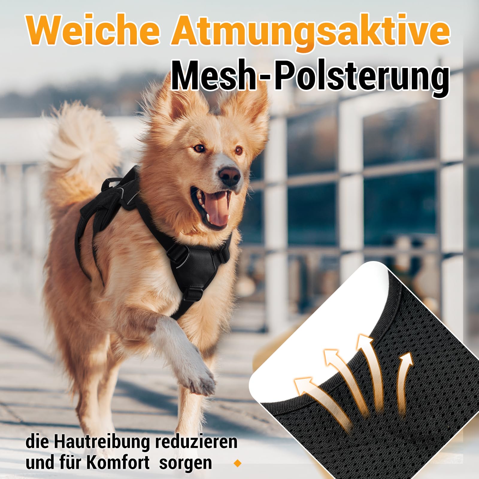 rabbitgoo Ausbruchsicheres Hundegeschirr Mittelgroße Hunde mit Griff, Anti Zug Sicherheitsgeschirr Hund Atmungsaktiv, Verstellbare Brustgeschirr, Gepolstertem Hundeweste, Panikgeschirr, Schwarz M
