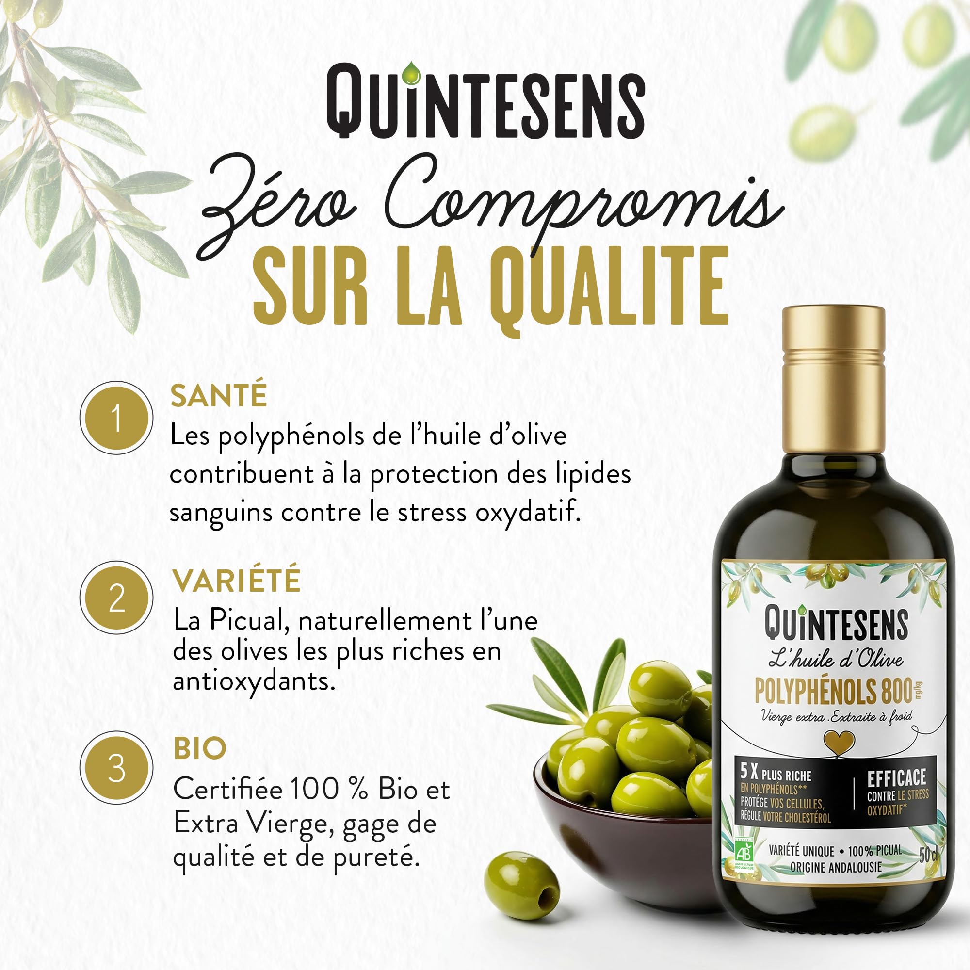 Huile d'Olive Extra Vierge Polyphénols QUINTESENS 500 ml – Santé Cardiovasculaire & Antioxydant Puissant – 880 mg/kg de Polyphénols – Pressée à Froid en 24h – 100% Bio – Origine Andalousie