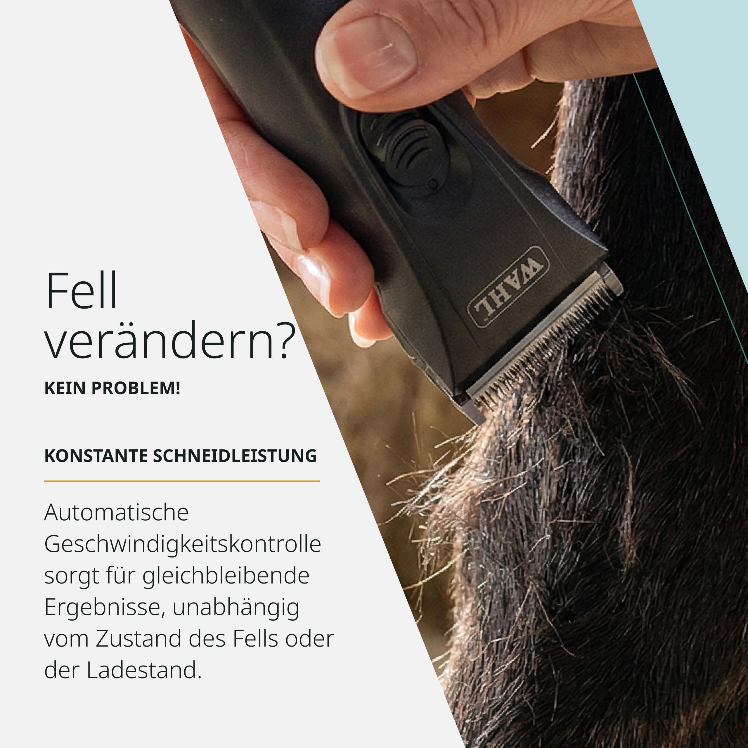 Wahl Arco Pro, Kabellose Tierschermaschine für Hunde und Katzen | Kabelloser Tierhaarschneider für mittelgroße Hunde und Katzen, Wechselakku, 120 Minuten Laufzeit, 0,7-3 mm Profiklinge