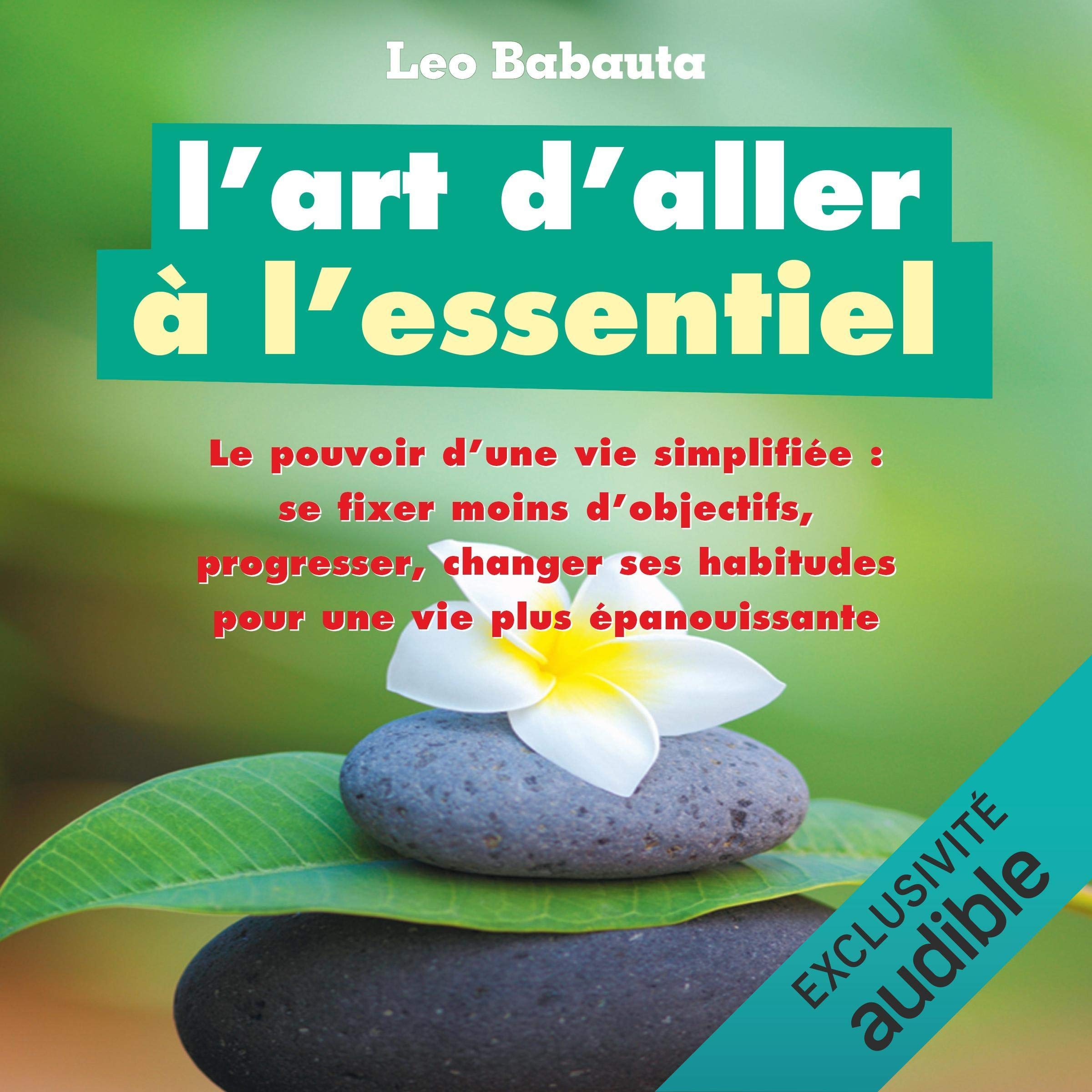 L'art d'aller à l'essentiel