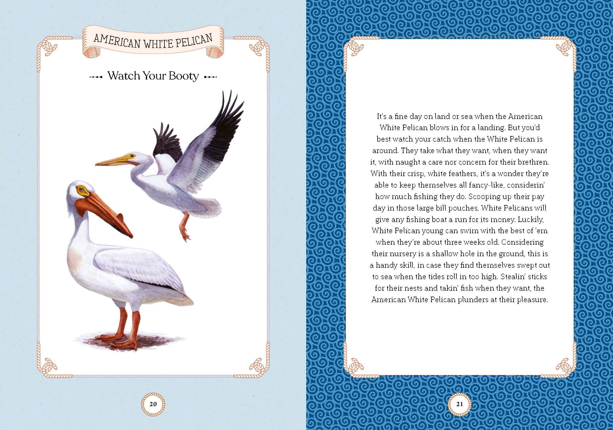 Sea Bird: Explore the Charming Oceanside Song of Our Shoreline Feathered Friends - Image 7
