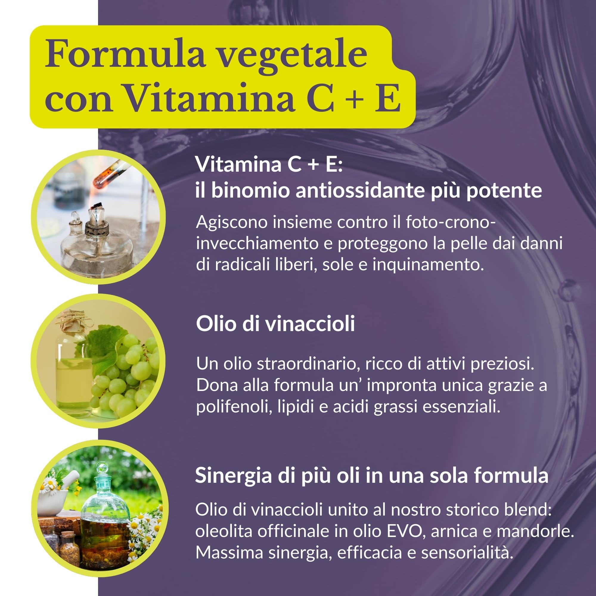 Mary Rose Fior di Linfa Notte 50 ml, Siero Viso con Vitamina C e E, Siero Viso Antirughe, Skincare Illuminante Uomo Donna, Crema Collo, Made in Italy