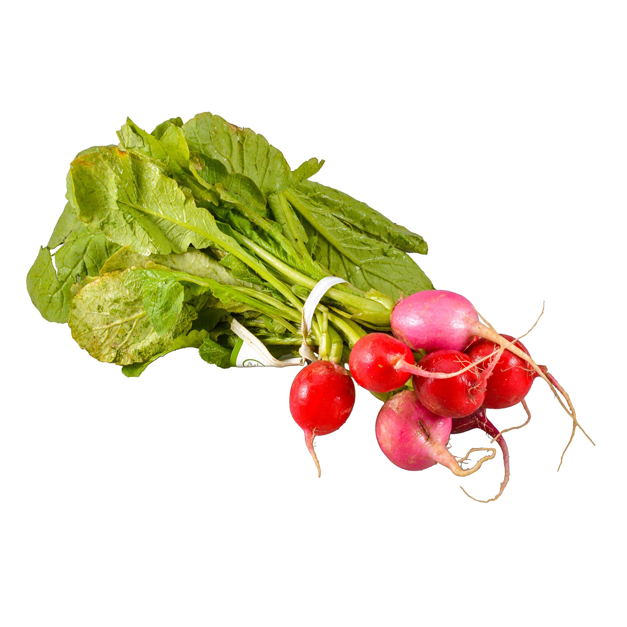 Root Radish Easter Egg Organic, 1 Bunch