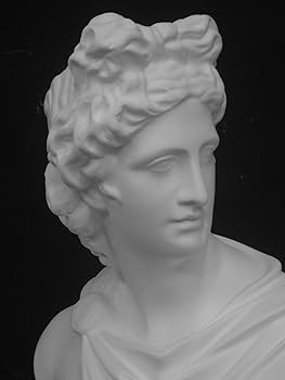 Amazon.co.jp: 石膏像 A－349 アポロ胸像（中） H．35