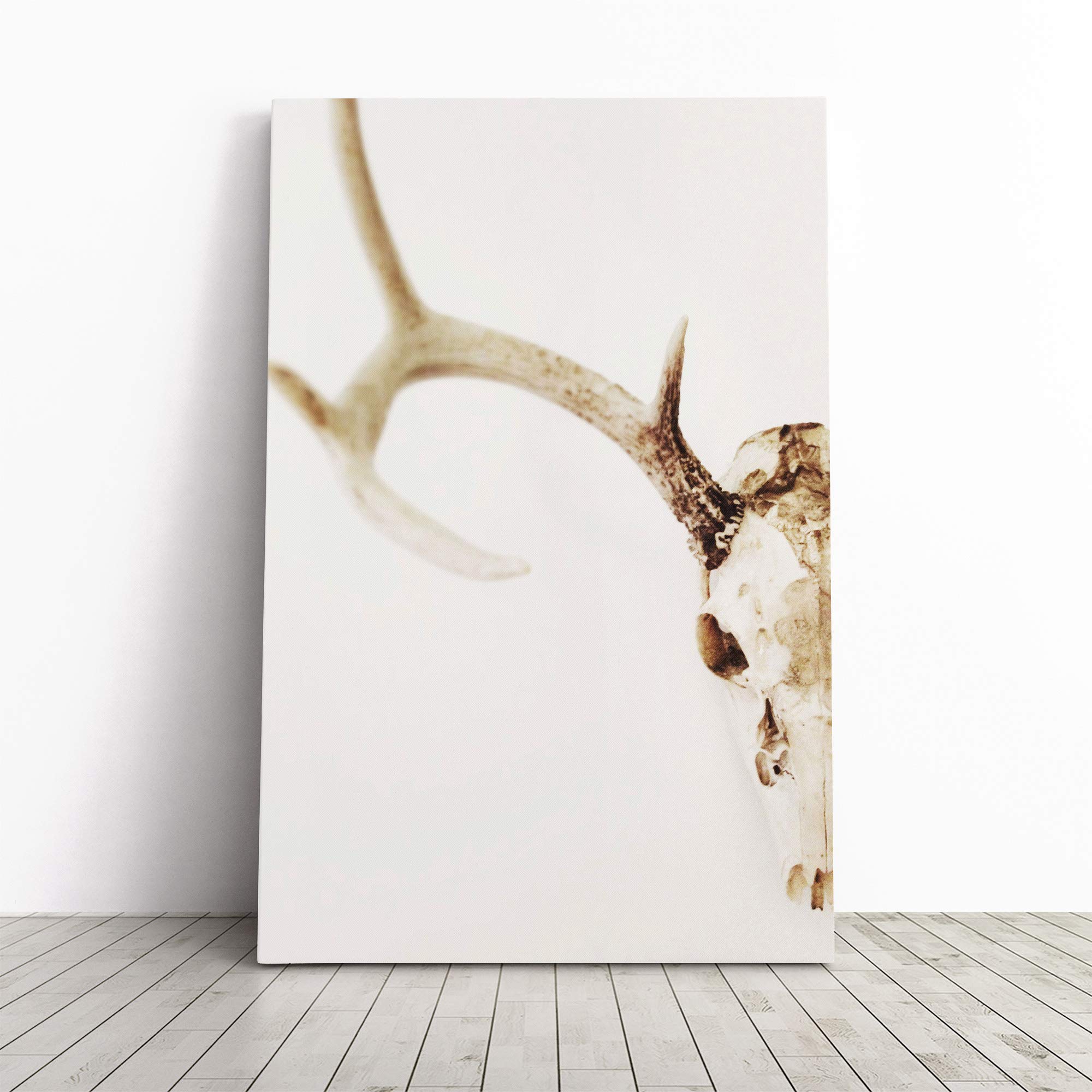 Stag Skull Canvas Print | Gallery Wrapped 30mm Frame Wall Art | 30x20 inches | Ready to Hang | Modern Animals Picture | Living Room Bedroom Lounge Office